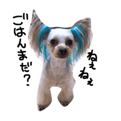 Lineスタンプ ヨークシャーテリア 犬 かわいい 8種類 1円