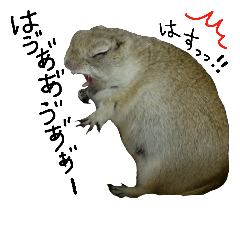 Lineスタンプ 小動物 の完全一覧 全54種類